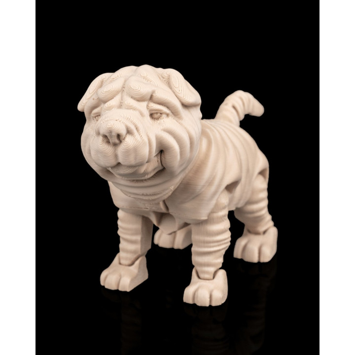 Louis Le Shar Pei – Figurine Articulée & Accessoires