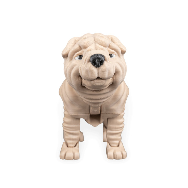 Louis Le Shar Pei – Figurine Articulée & Accessoires