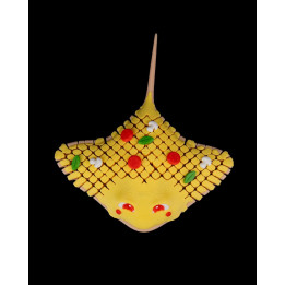 Pizza Ray – La Raie Manta Pizza Figurine Décorative Originale
