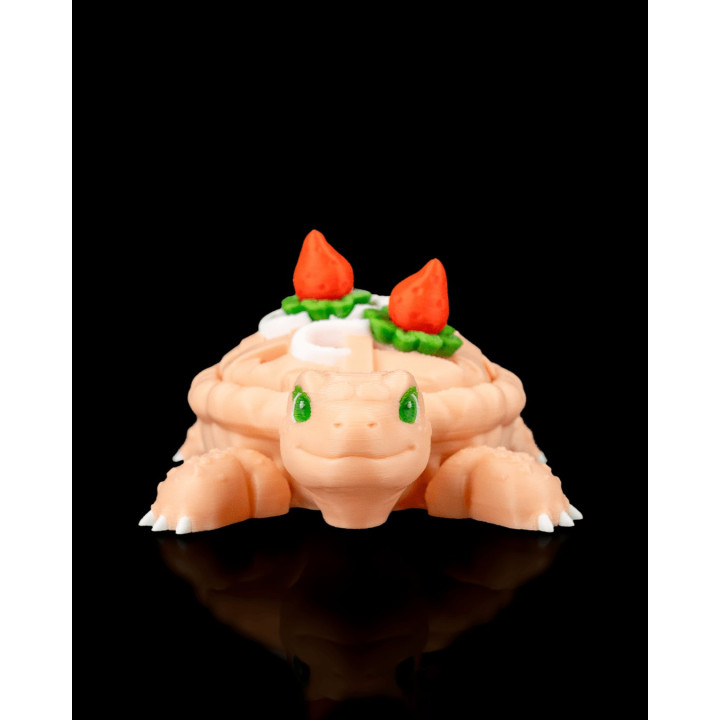 Turtleberry Pie – La Tortue-Tarte Aux Fraises