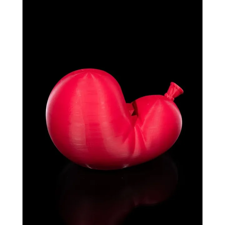 Support Téléphone Ballon – Made in Occitanie