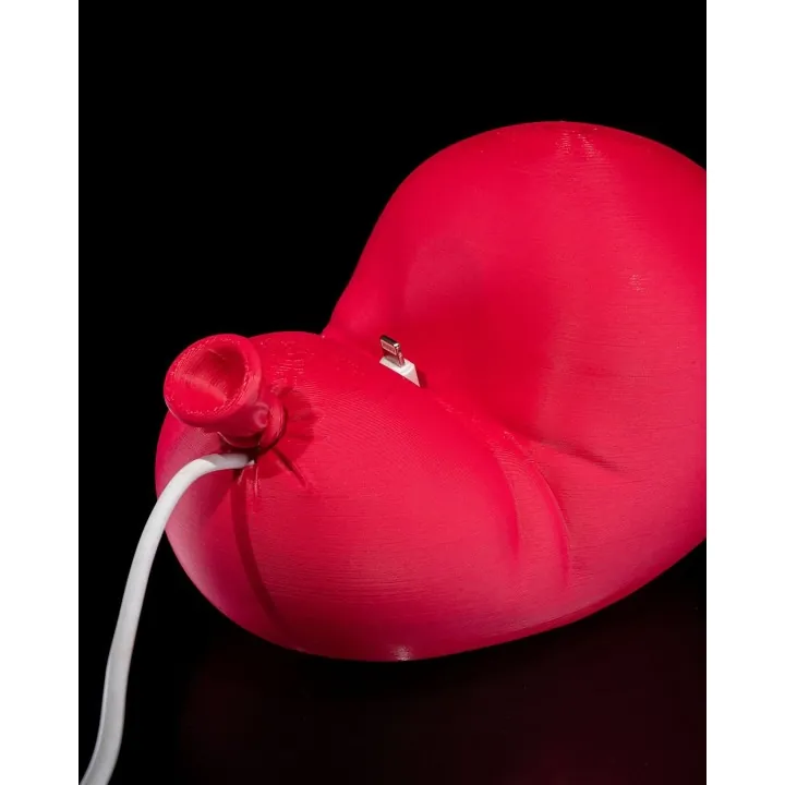 Support Téléphone Ballon – Made in Occitanie