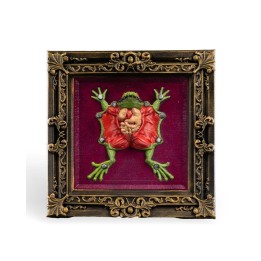 Cadre Grenouille Anatomique – Déco Bizarre Made Occitanie
