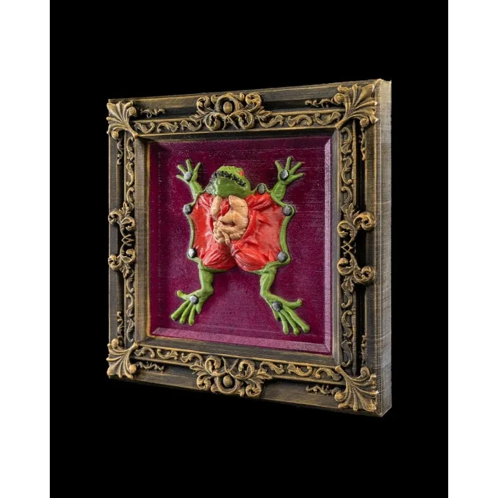 Cadre Grenouille Anatomique – Déco Bizarre Made Occitanie