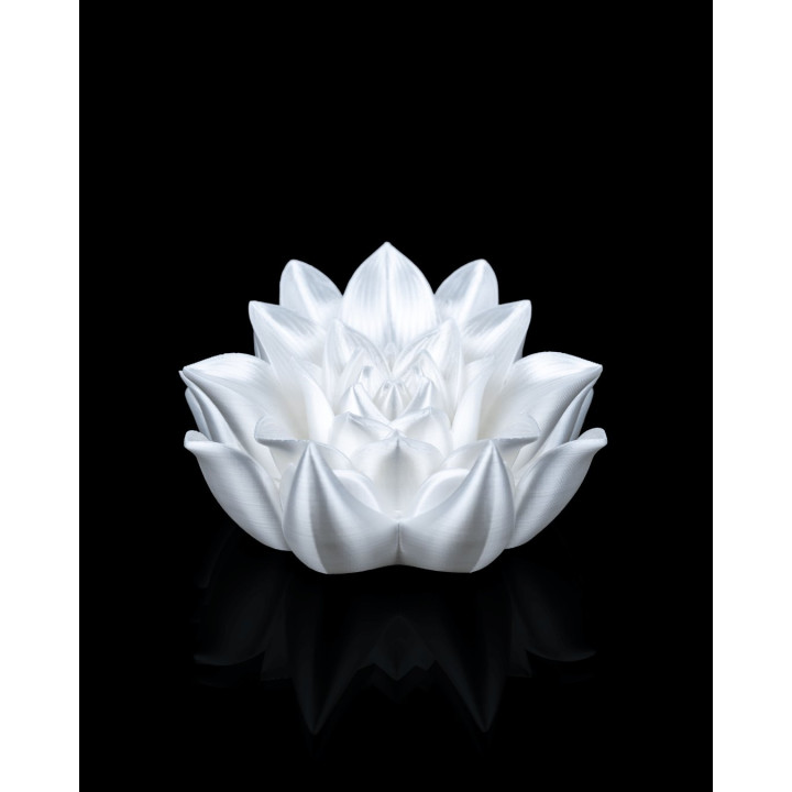 Serre-Livre Fleur De Lotus – Root Of Awakening