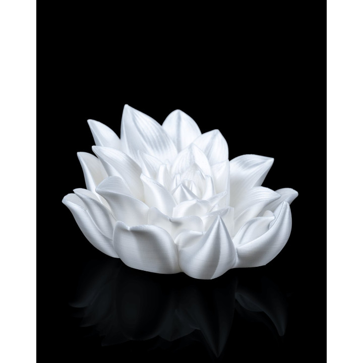Serre-Livre Fleur De Lotus – Root Of Awakening