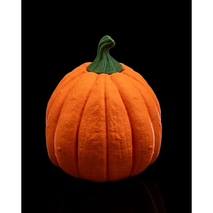 Masque Citrouille Skull Halloween – Made in Occitanie