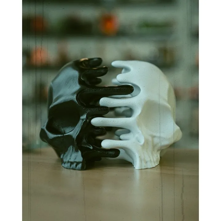 Crâne Double Mains – Sculpture Fantastique