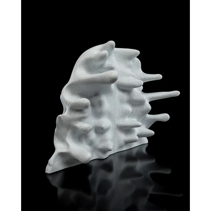 Crâne Double Mains – Sculpture Fantastique