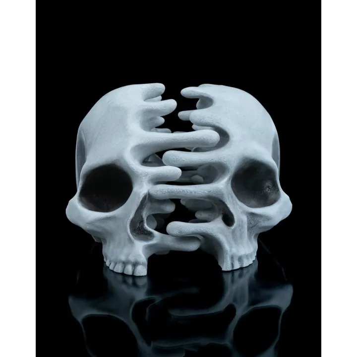 Crâne Double Mains – Sculpture Fantastique
