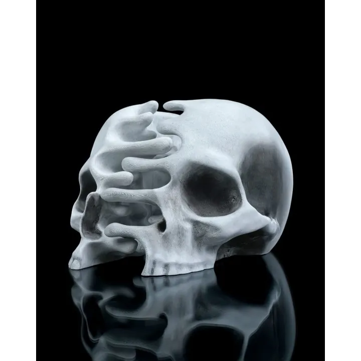 Crâne Double Mains – Sculpture Fantastique