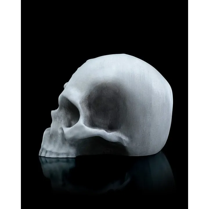 Crâne Double Mains – Sculpture Fantastique