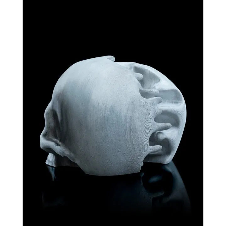Crâne Double Mains – Sculpture Fantastique
