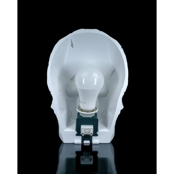 Lampe Crâne Lumineux – Made in Occitanie