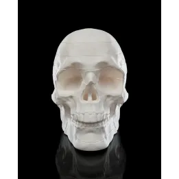 Crâne Humain Démontable "Rest In Pieces" – Sculpture Anatomique