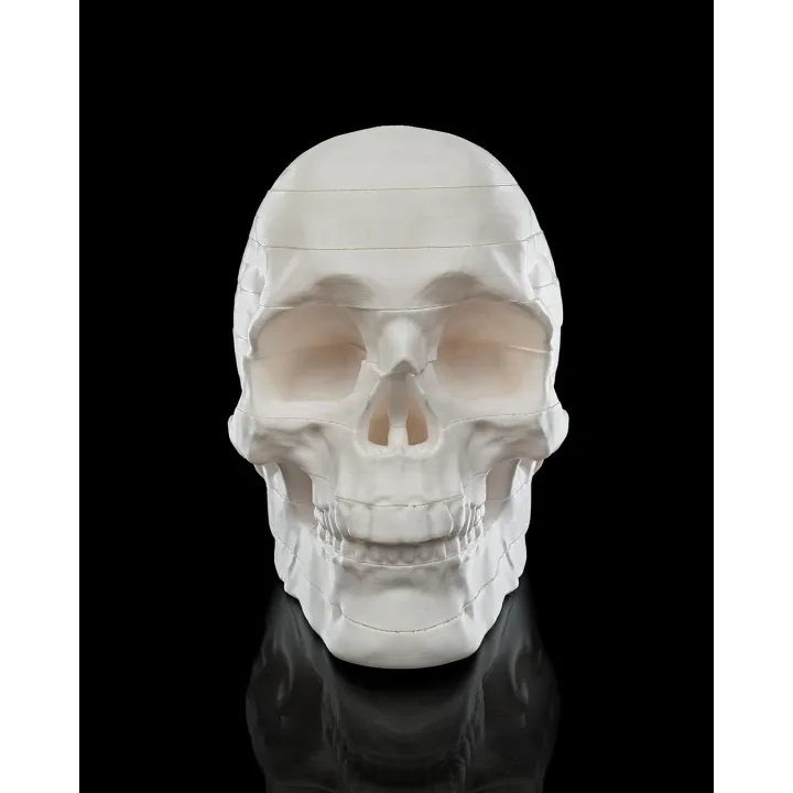 Crâne Humain Démontable "Rest In Pieces" – Sculpture Anatomique