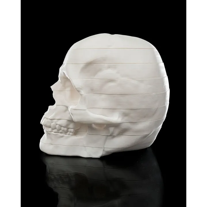 Crâne Humain Démontable "Rest In Pieces" – Sculpture Anatomique