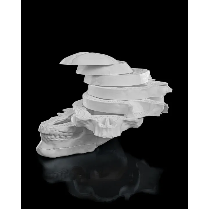 Crâne Humain Démontable "Rest In Pieces" – Sculpture Anatomique