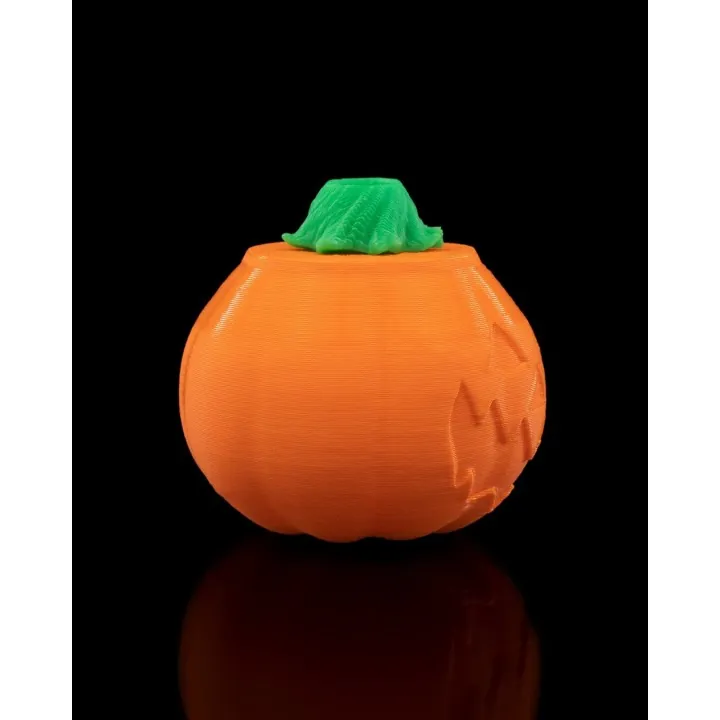 Guirlande Halloween 3D – Citrouilles & Crânes Occitanie