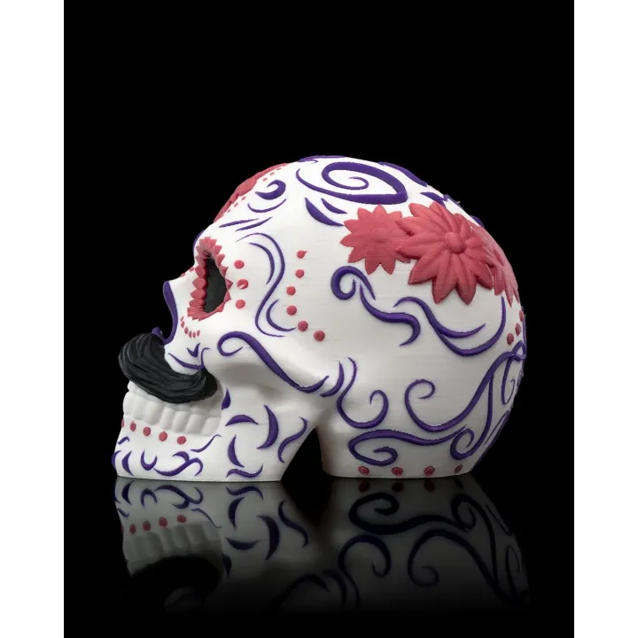 Crâne Carlos – Día De Los Muertos | Décoration Made In Occitanie