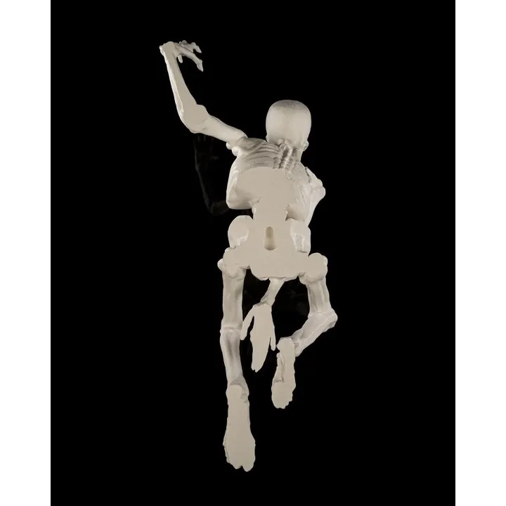 Squelette Sautant – Jump Scaréleton