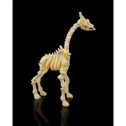 Squelette Girafe Fantastique – Made in Occitanie