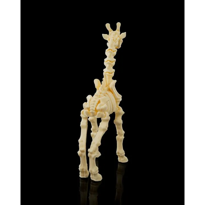 Squelette Girafe Fantastique – Made in Occitanie