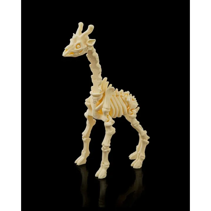 Squelette Girafe Fantastique – Made in Occitanie