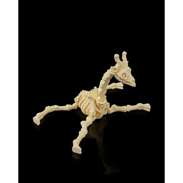 Squelette Girafe Fantastique – Made in Occitanie