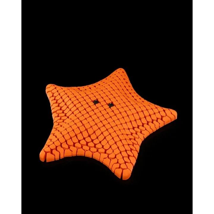 Bessie – Étoile De Mer Flexible Articulée