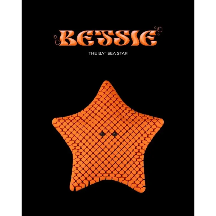 Bessie – Étoile De Mer Flexible Articulée
