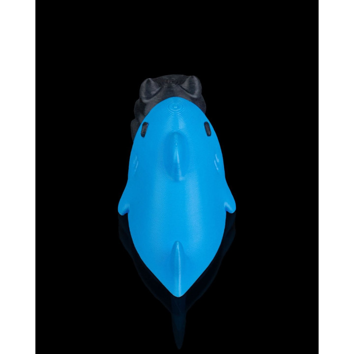 Chat Catfishé – Figurine Chat Déguisé En Requin