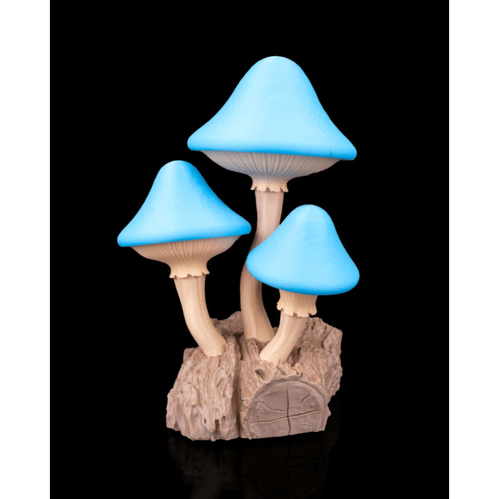 Lampe De Table Champignons Magiques – Night Shroom