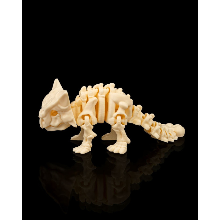 Squelette Ankylosaure Articulé – Figurine Dinosaure Collector