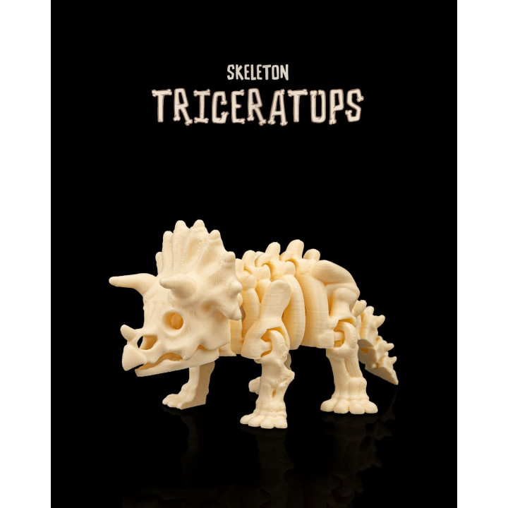 Squelette Tricératops Articulé – Figurine Dinosaure Préhistorique