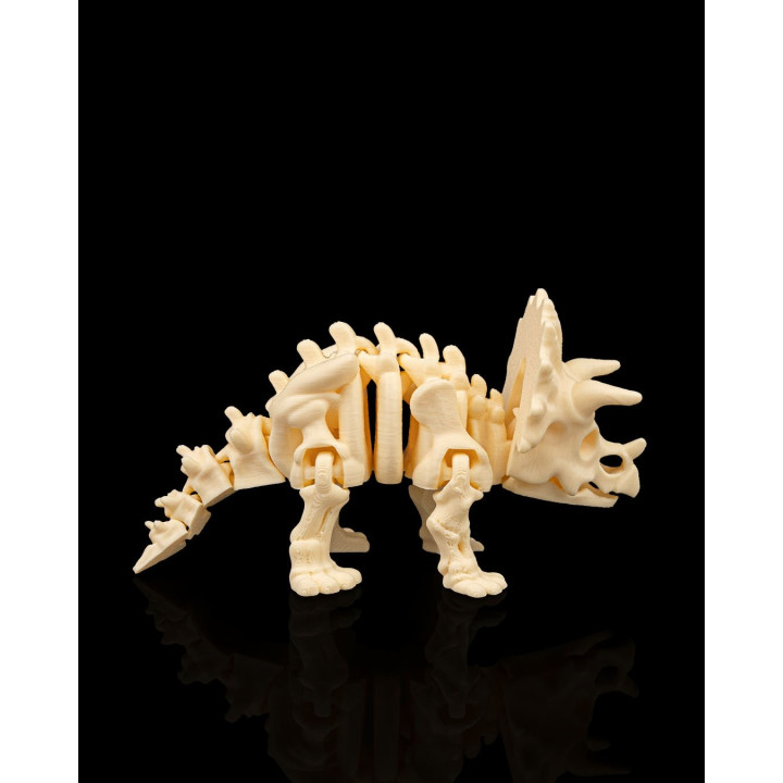 Squelette Tricératops Articulé – Figurine Dinosaure Préhistorique