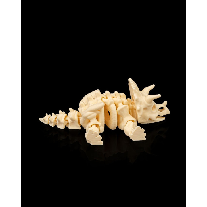 Squelette Tricératops Articulé – Figurine Dinosaure Préhistorique