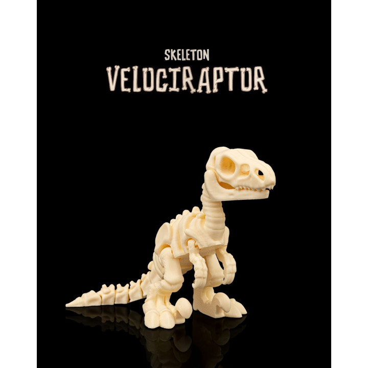 Vélociraptor Squelette Articulé – Figurine Dinosaure Collector