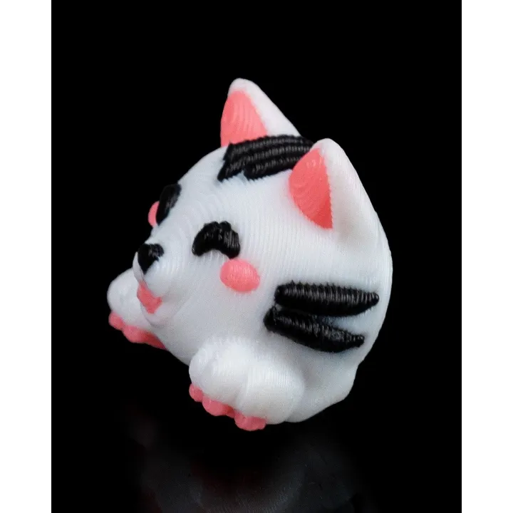 Boucles d'oreilles chat magnétiques – Made in Occitanie