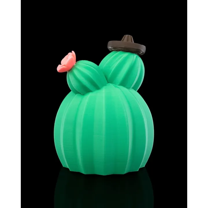 Maison Cactus – Sculpture Décorative Originale