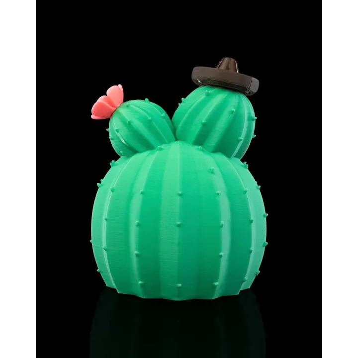 Maison Cactus – Sculpture Décorative Originale
