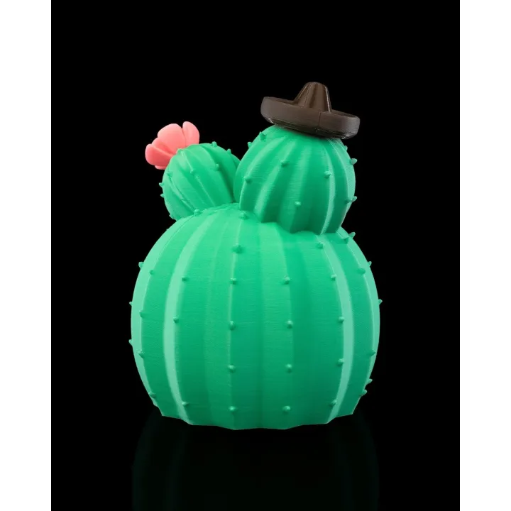 Maison Cactus – Sculpture Décorative Originale