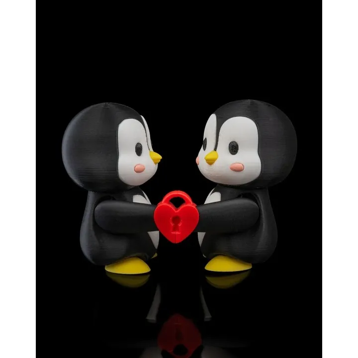 Couple De Pingouins Amoureux – Cadenas Cœur