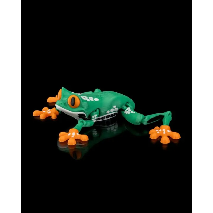 Reed – Figurine Grenouille Arc-en-ciel Made in Occitanie