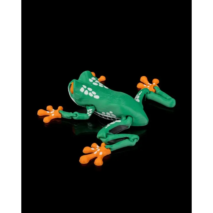 Reed – Figurine Grenouille Arc-en-ciel Made in Occitanie