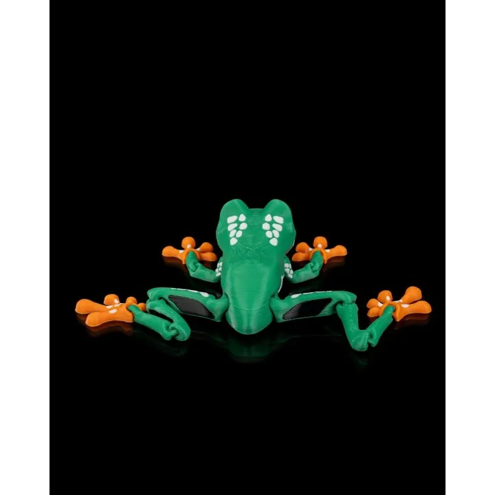 Reed – Figurine Grenouille Arc-en-ciel Made in Occitanie