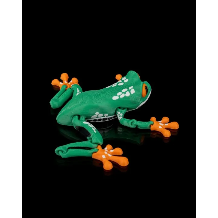 Reed – Figurine Grenouille Arc-en-ciel Made in Occitanie