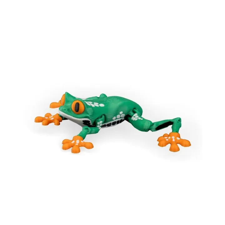 Reed – Figurine Grenouille Arc-en-ciel Made in Occitanie