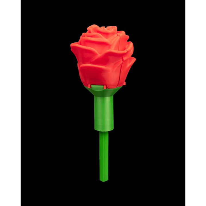 Sweet Rose – Écrin À Bague & Boîte Surprise En Forme De Rose