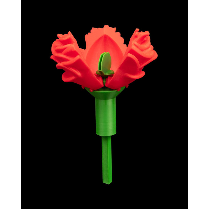 Sweet Rose – Écrin À Bague & Boîte Surprise En Forme De Rose